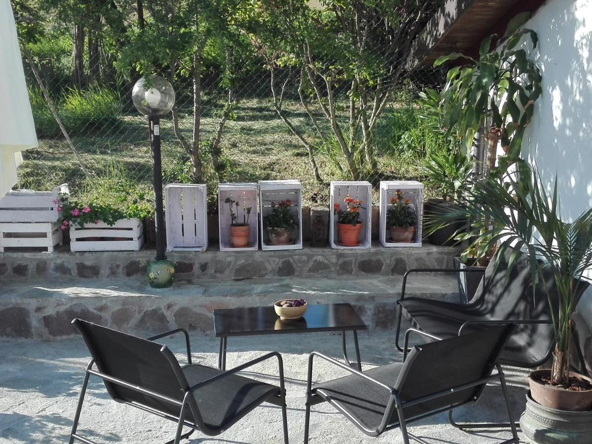 La Casa Nel Sole Lägenhet Alessandria Exteriör bild