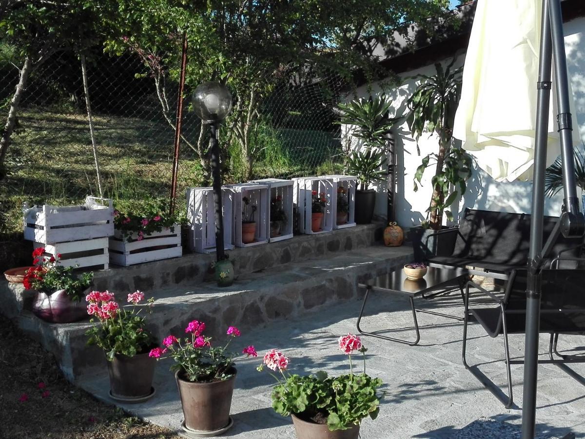 La Casa Nel Sole Lägenhet Alessandria Exteriör bild